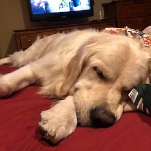 Meet your Posher, Vinoo